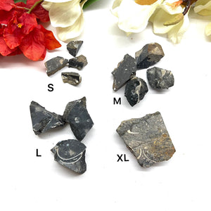 Colus Crystal Rough (Transformation)
